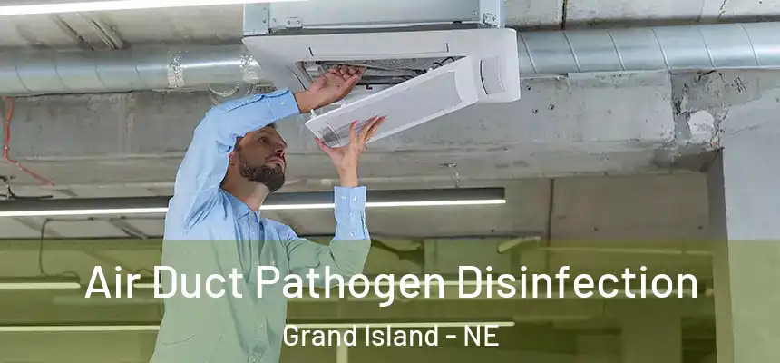  Air Duct Pathogen Disinfection Grand Island - NE