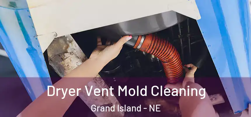  Dryer Vent Mold Cleaning Grand Island - NE