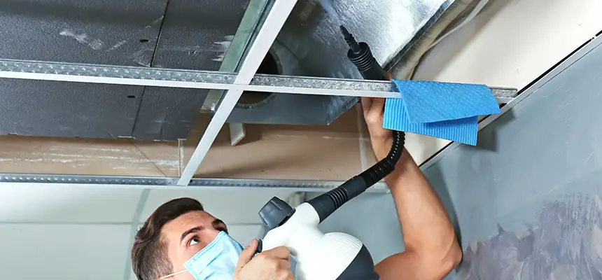 Our Air Duct Rodent Removal Services in Grand Island, NE