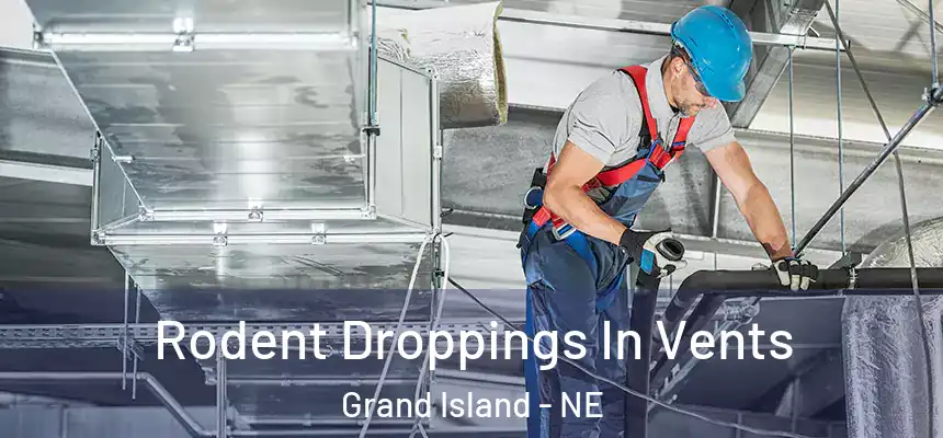  Rodent Droppings In Vents Grand Island - NE