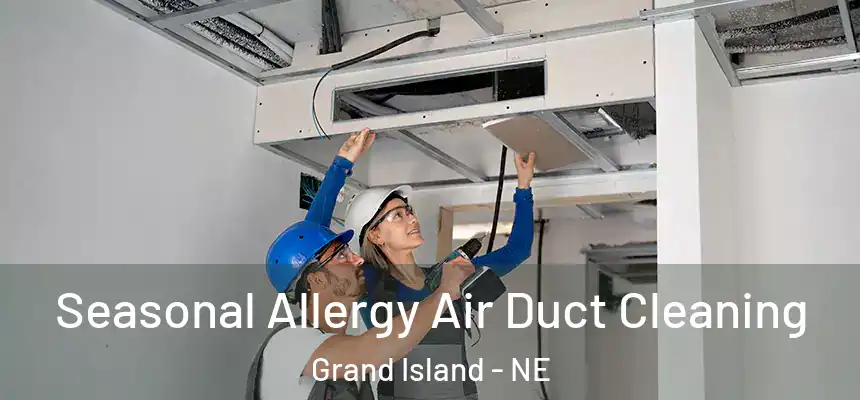  Seasonal Allergy Air Duct Cleaning Grand Island - NE