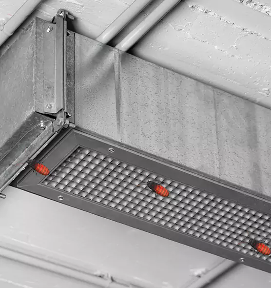 Affordable Insect Removal from Air Ducts in Grand Island, NE